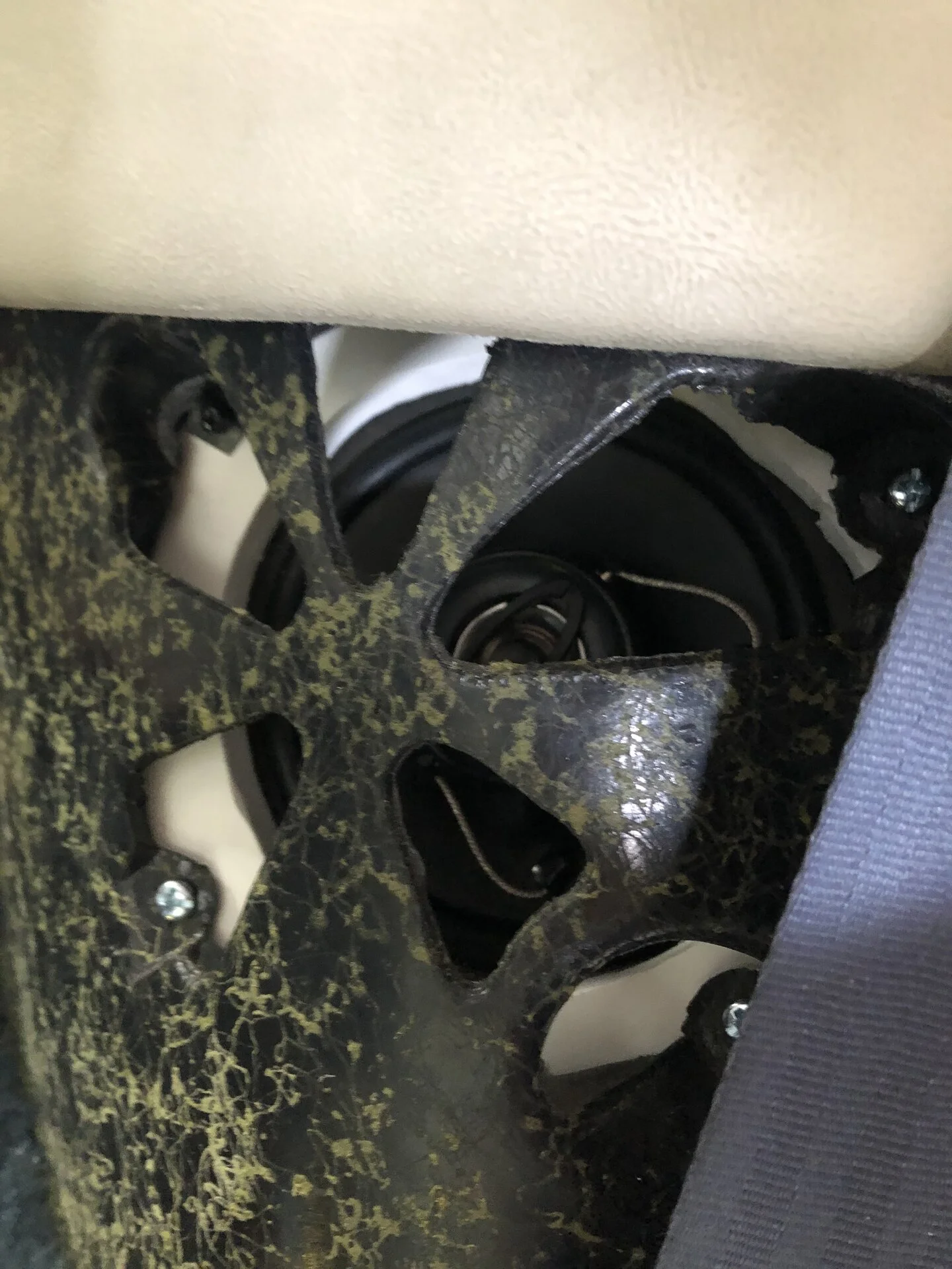 speakerfrontinstalled.webp