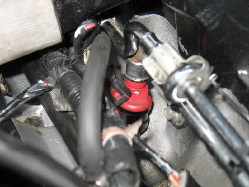 SpeedyDyno001.webp