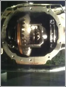 spidergears.webp