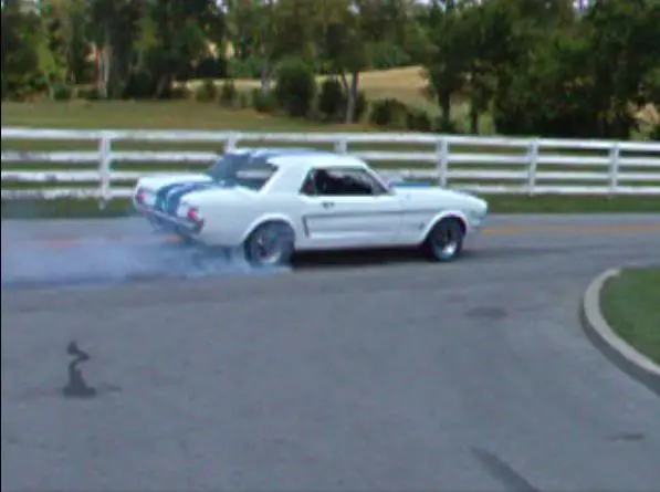 Spinning2.webp