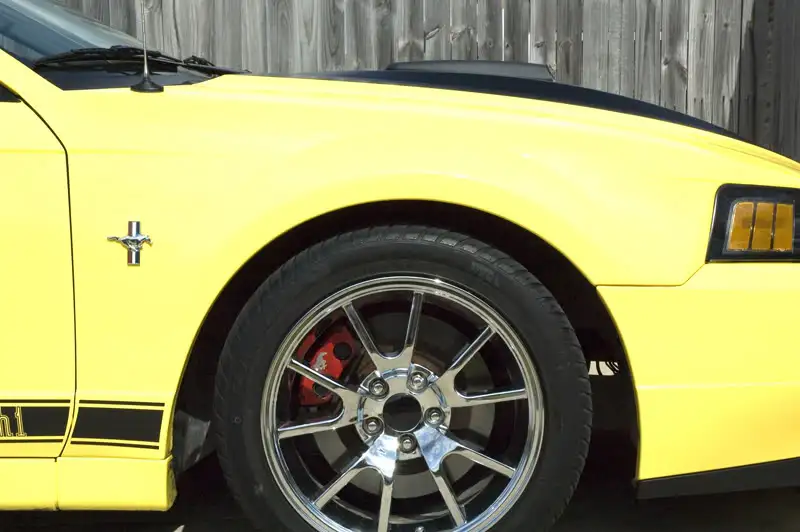 sportlinegap01.webp