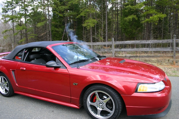 spray1reduced3pp.webp