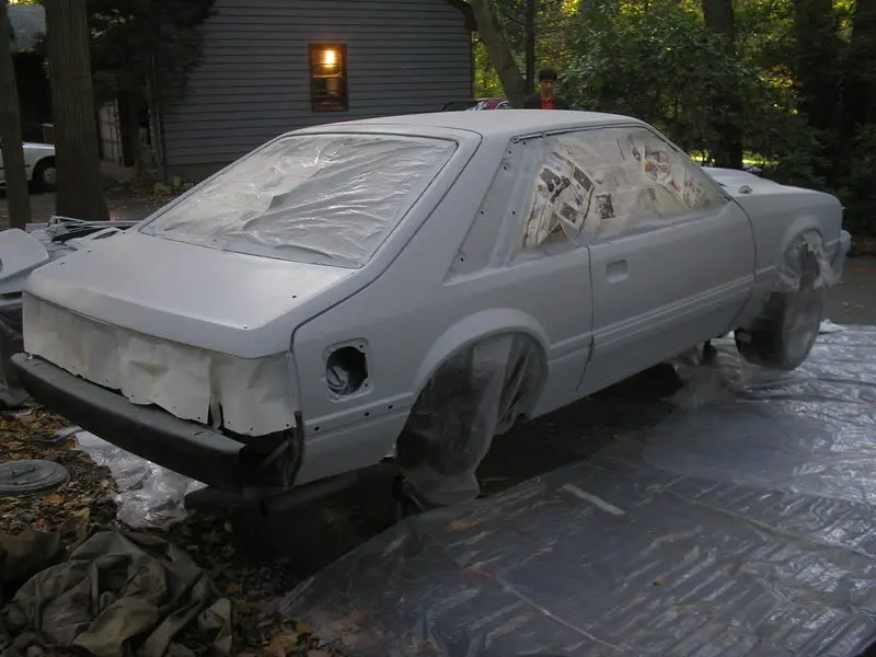 SprayDay6.webp