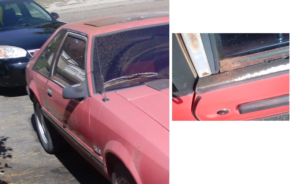 sprayed.webp