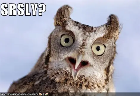 srsly128625168774424970.webp
