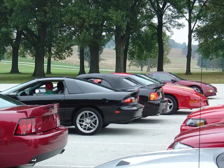 SSandCobra.webp