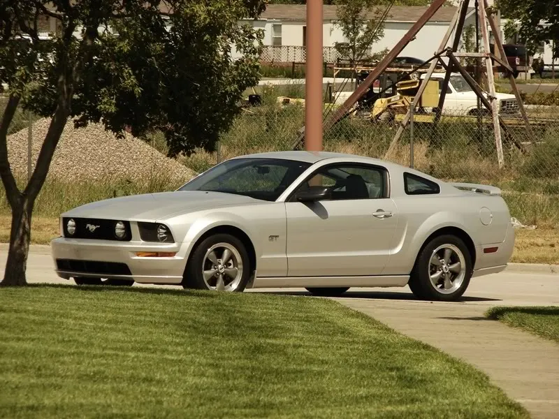 Stallion.webp