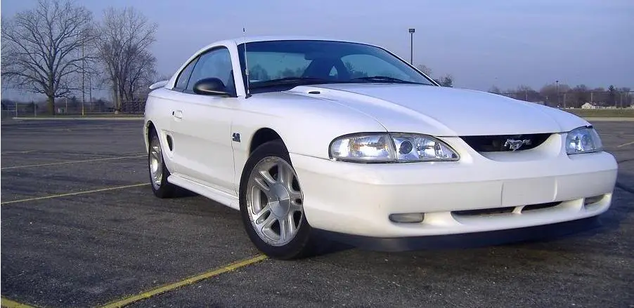 stance.webp