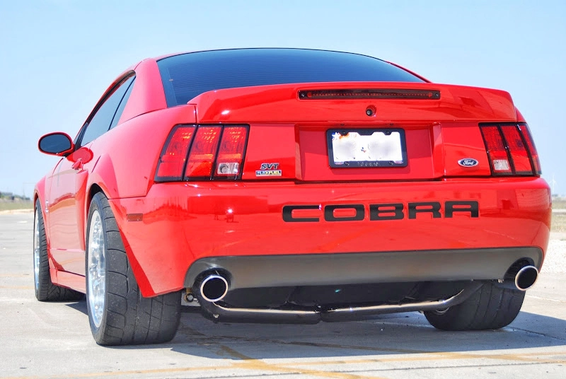stance2.webp