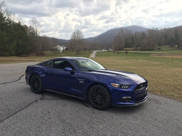 stang-001.webp
