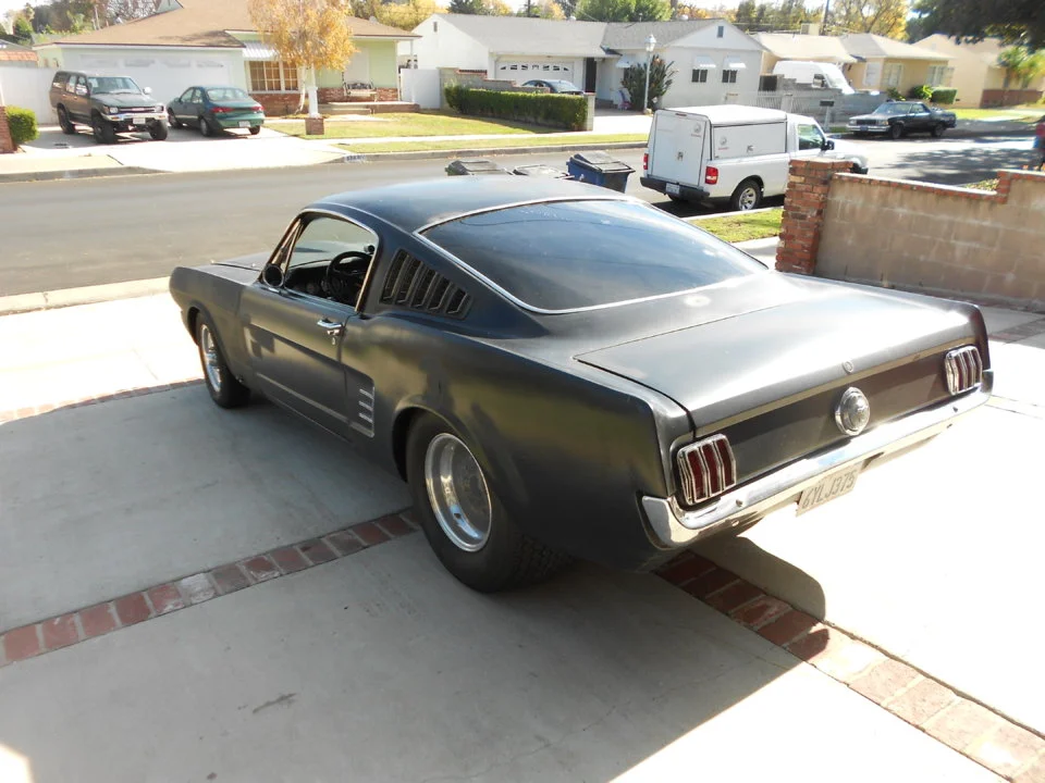 stang 005.webp