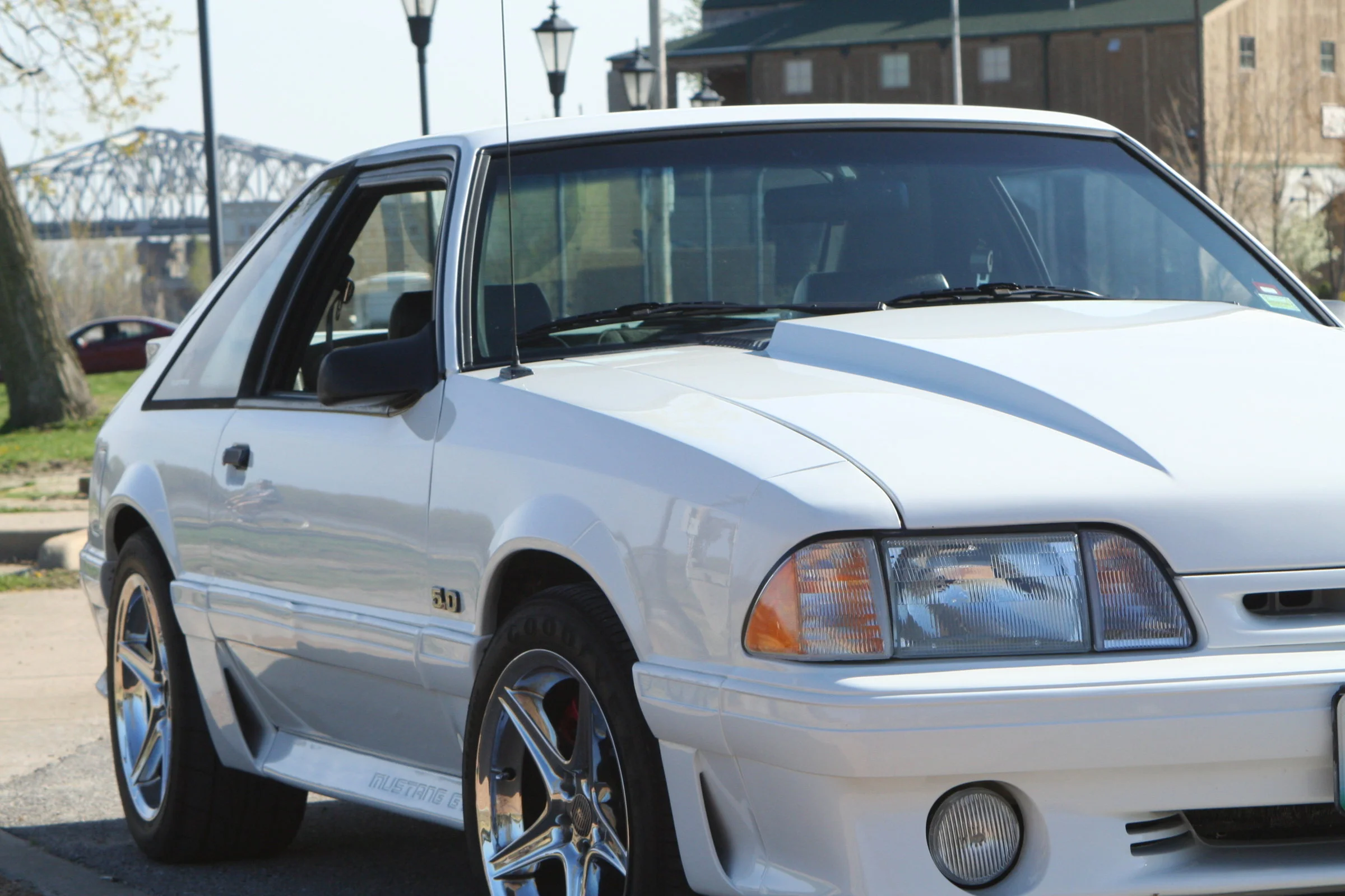 Stang 006.webp