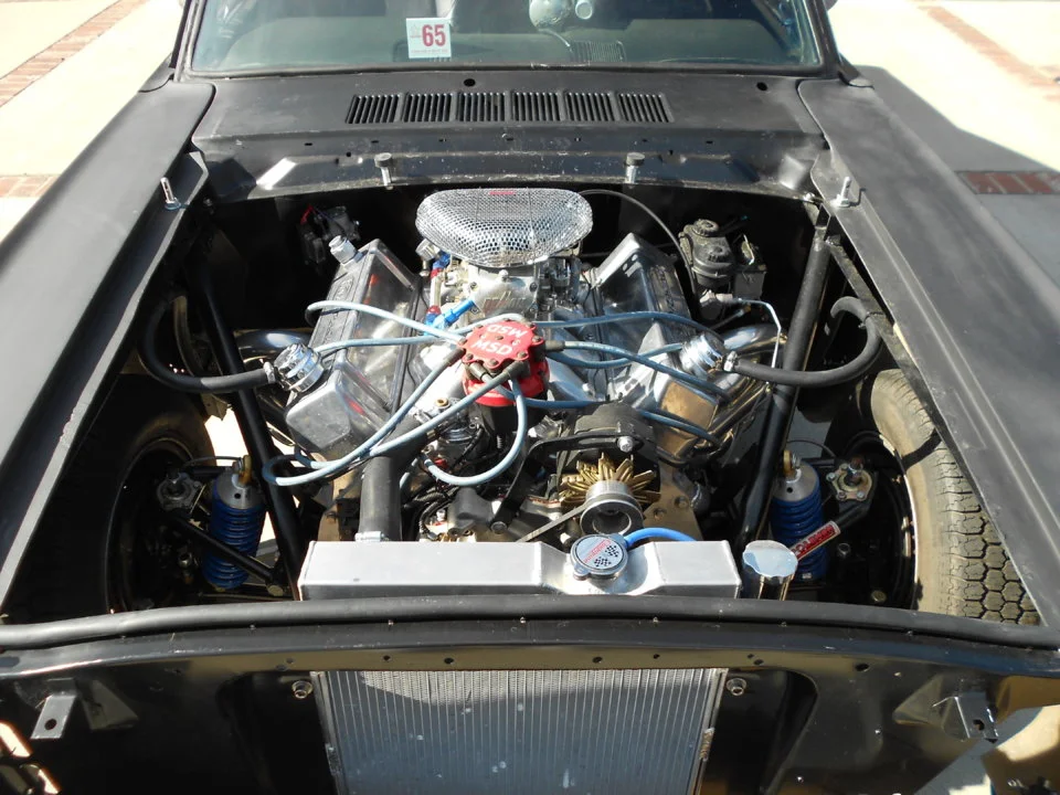 stang 011.webp