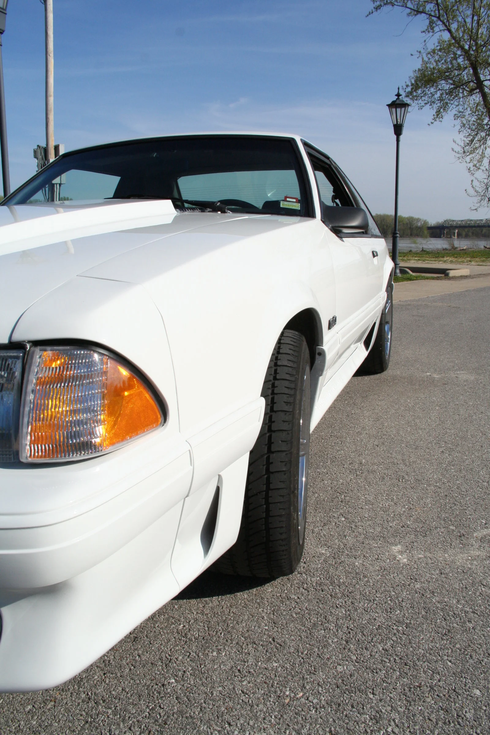 Stang 036.webp