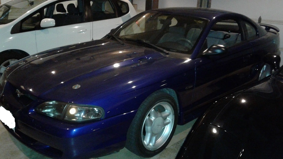 Stang 1.0.webp