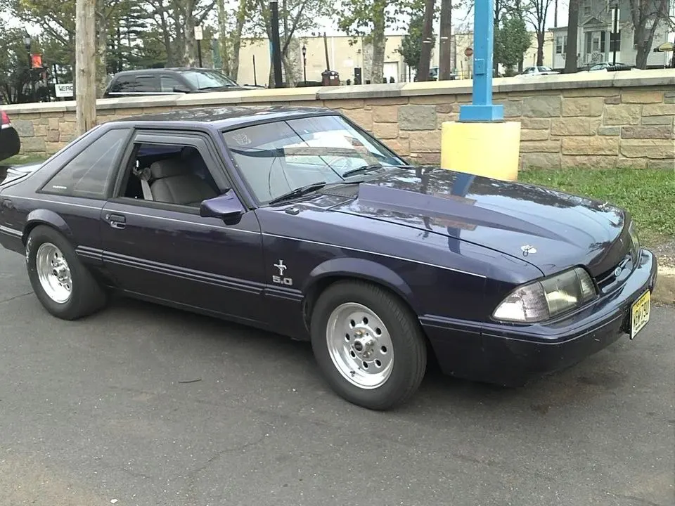 stang-1.webp
