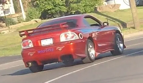 STANG-1.webp