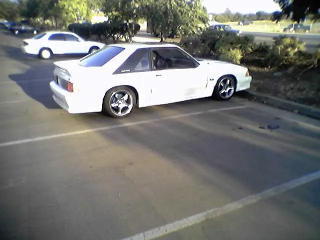 stang-1.webp