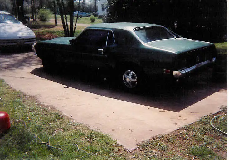 stang (1).webp