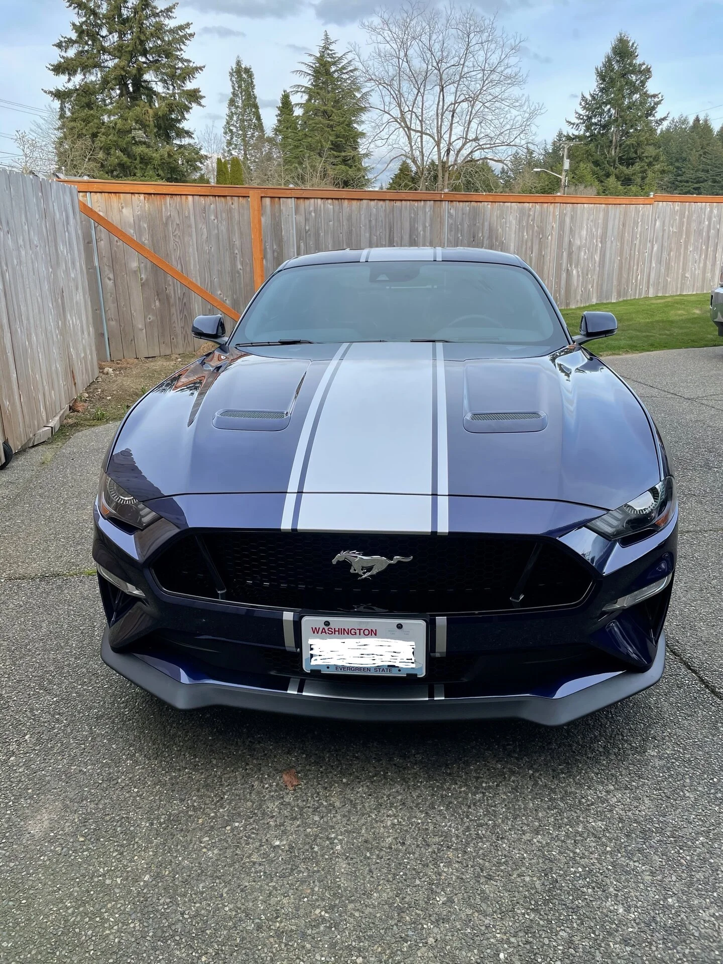 Stang 1.webp
