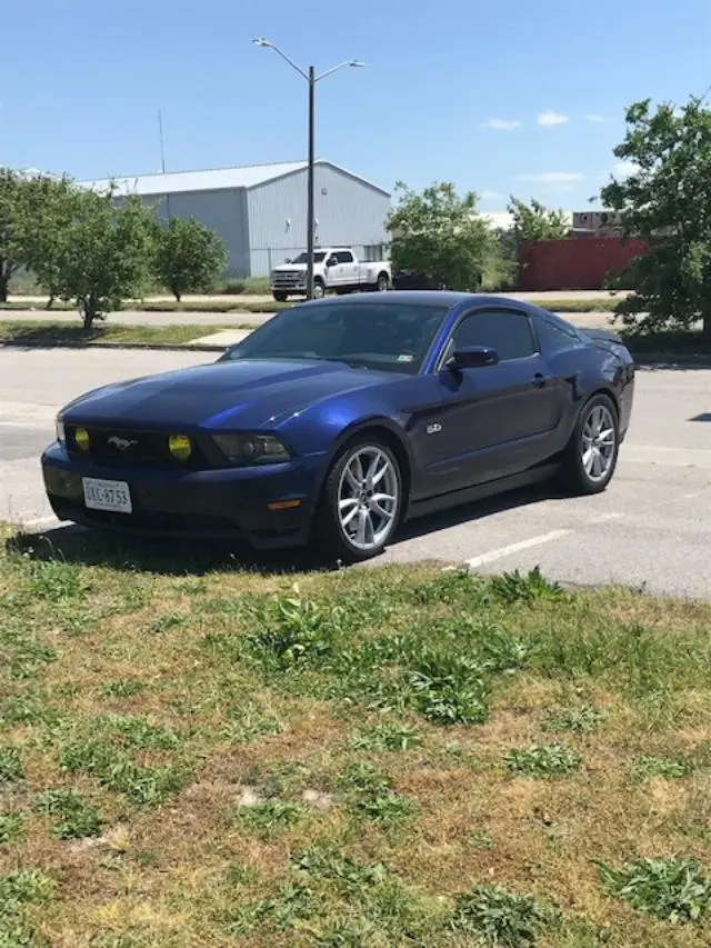 Stang 1.webp