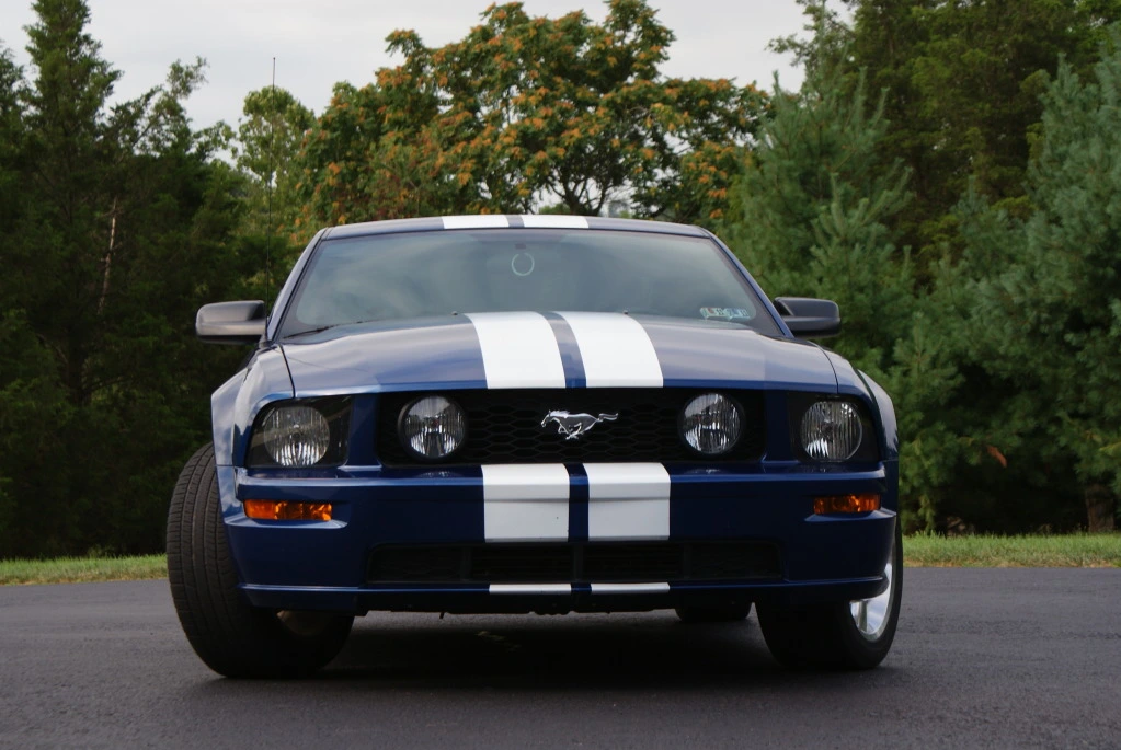 STANG 1.webp
