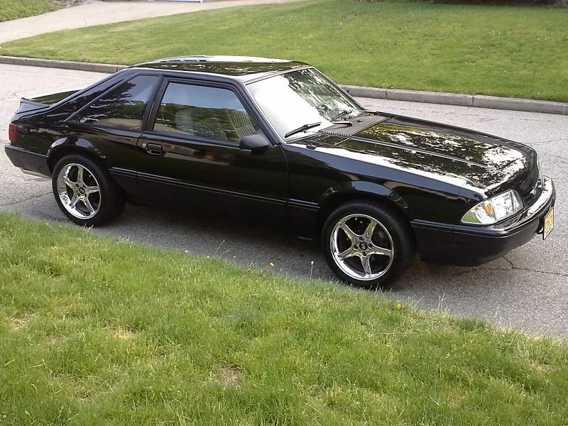 stang 1_opt (1).webp