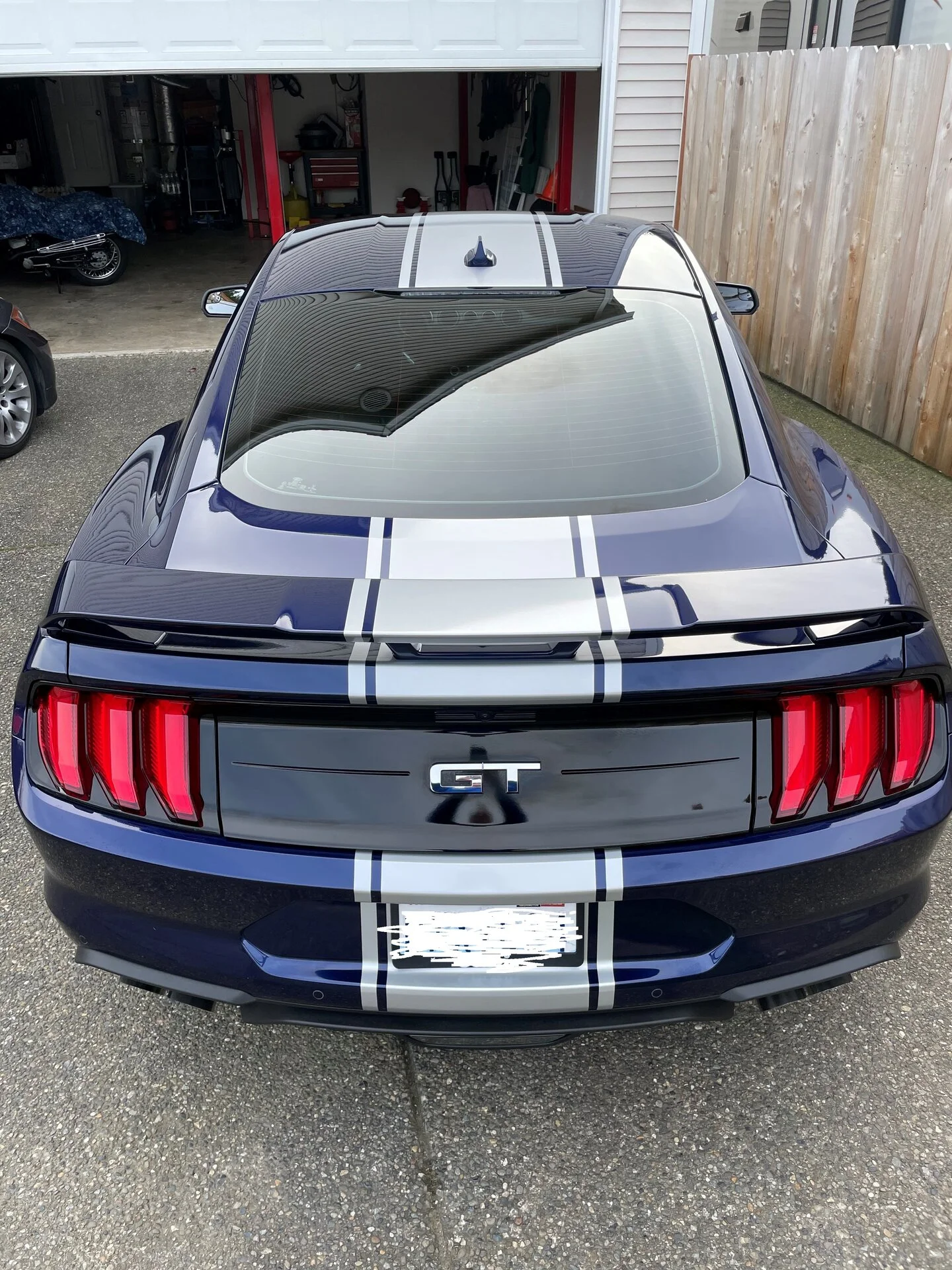 Stang 2.webp