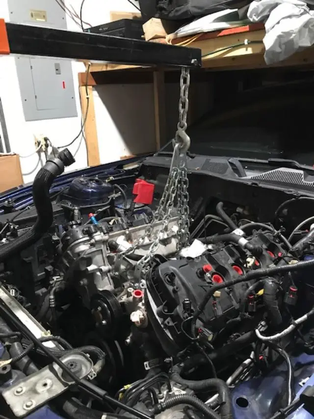 stang 2.webp