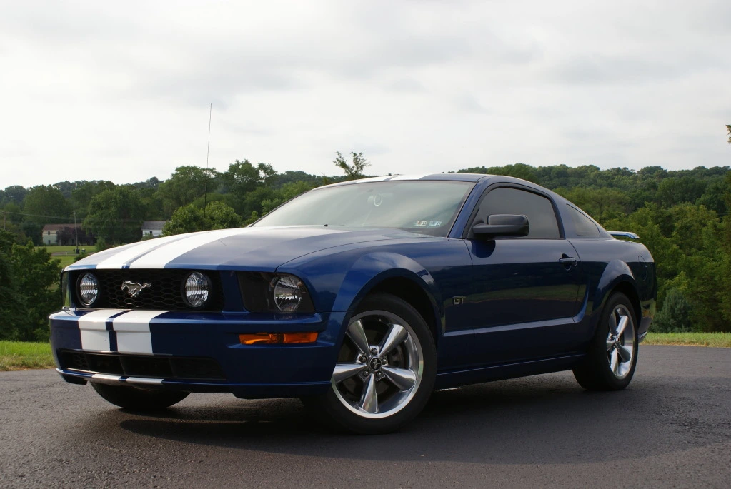 STANG 2.webp