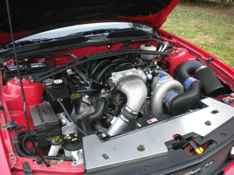 stang 2.webp