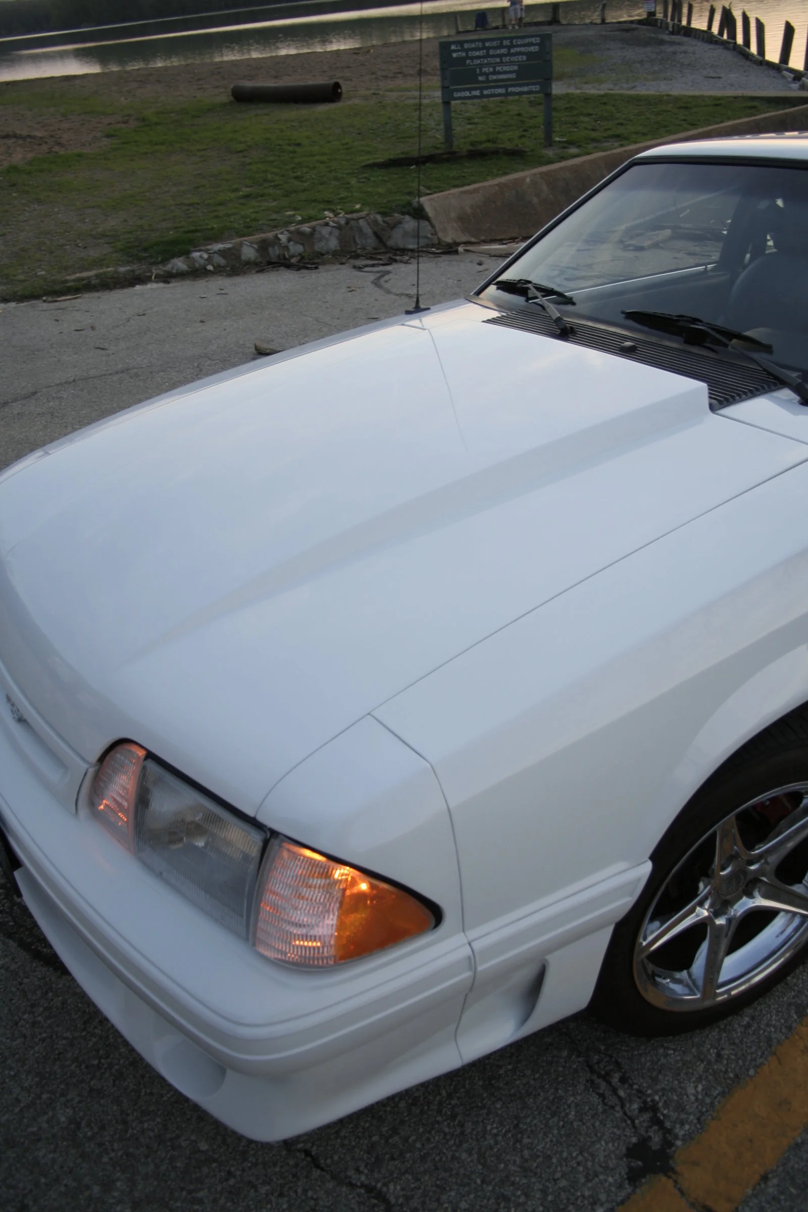 Stang 295.webp