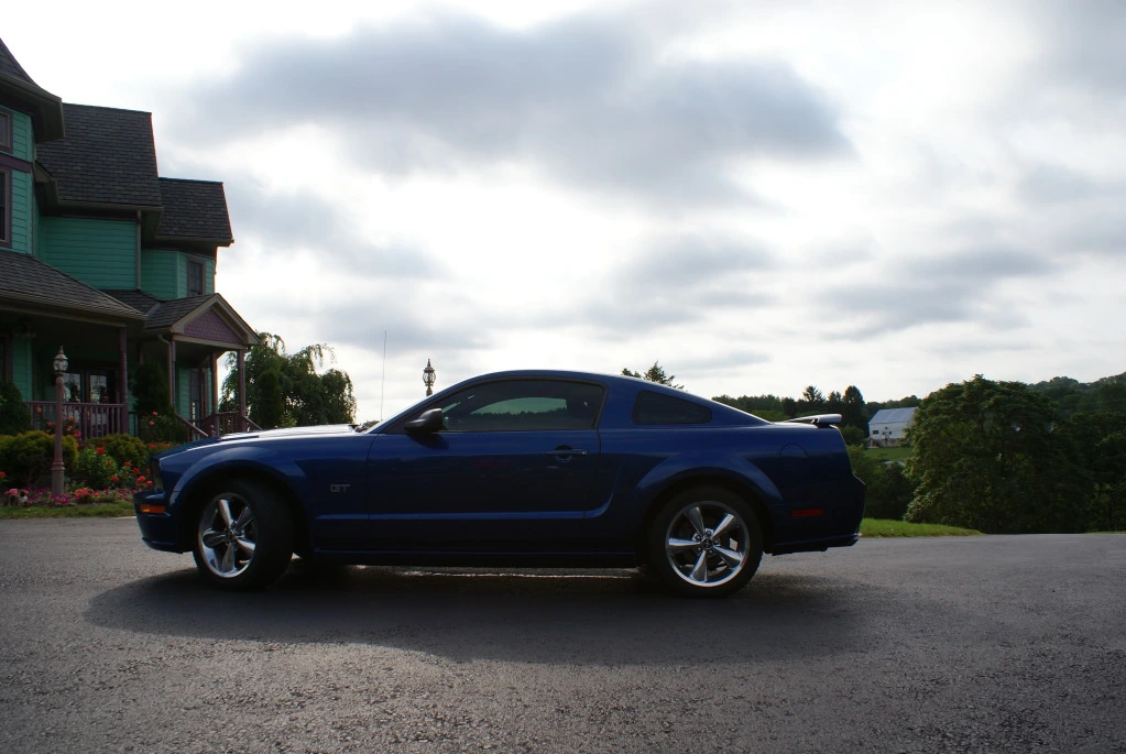 STANG 3.webp