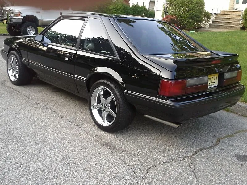 stang 3_opt.webp