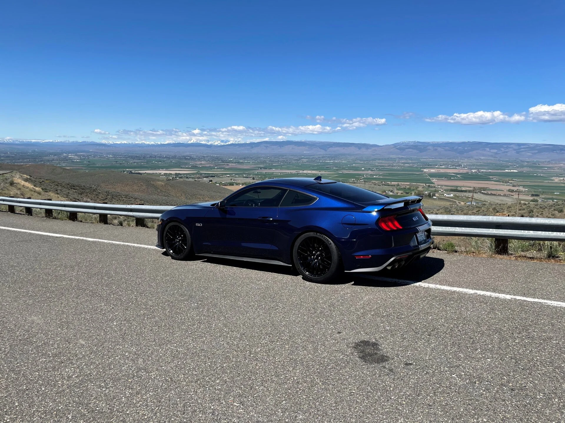Stang 4.webp