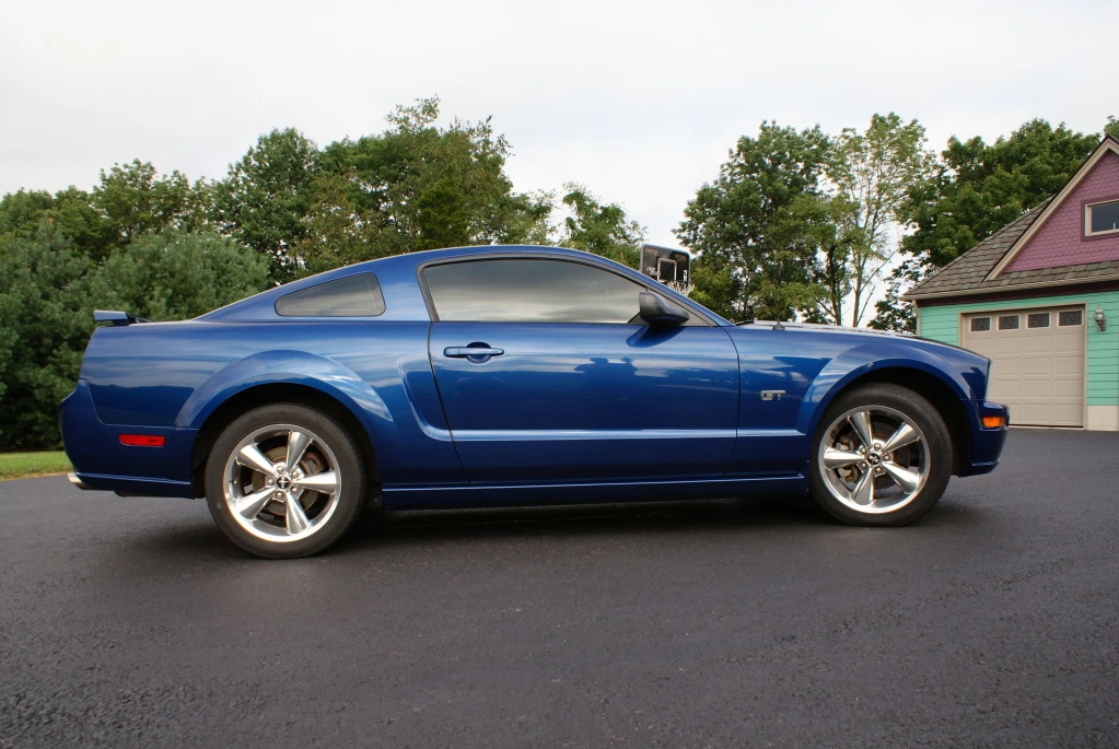 STANG 4.webp