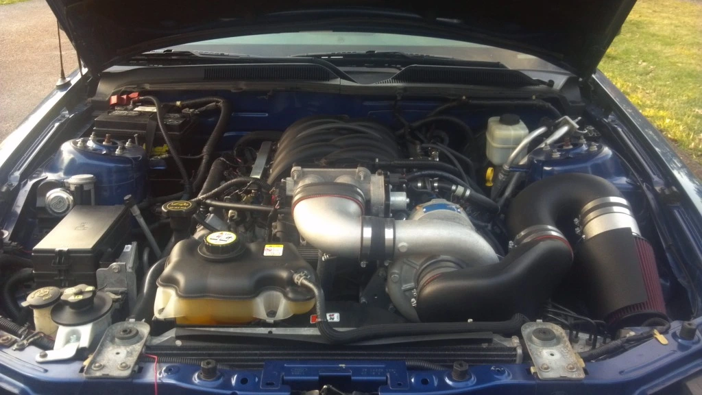 STANG 5.webp