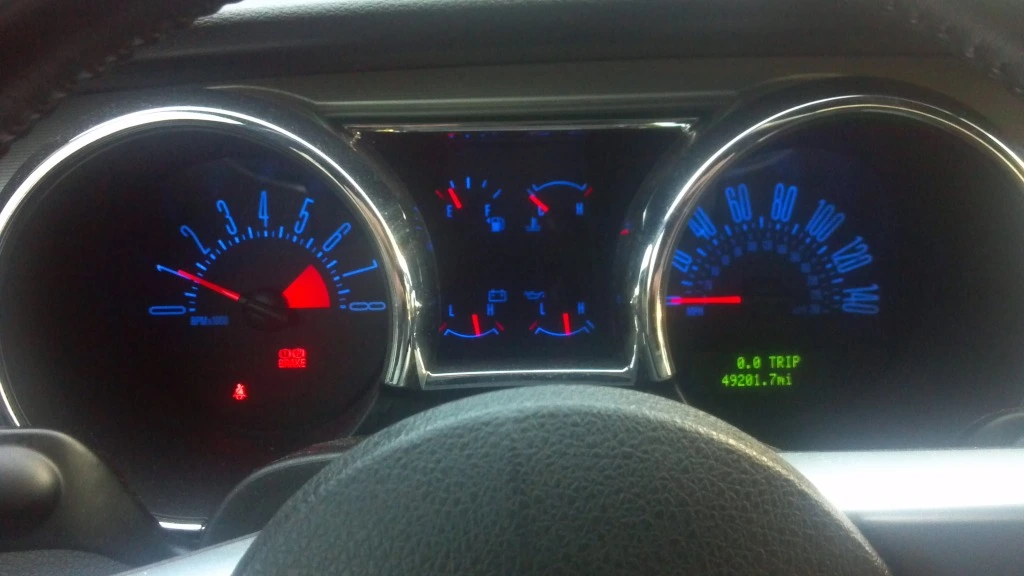 STANG 8.webp