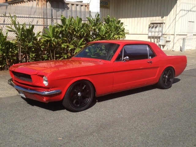 Stang at Work.webp