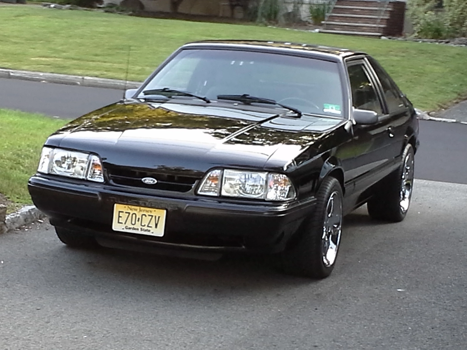 Stang front pic.webp