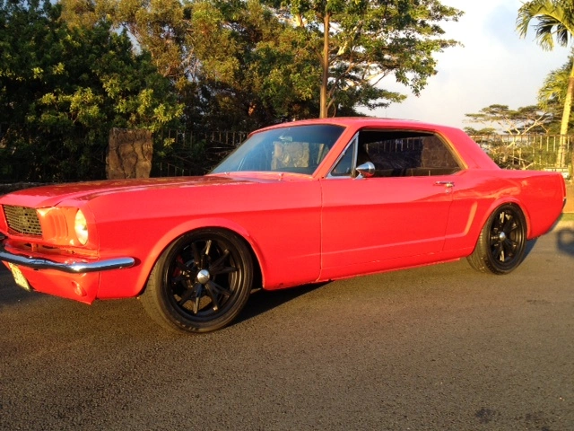 Stang Front Side View.webp