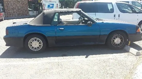 stang pic.webp