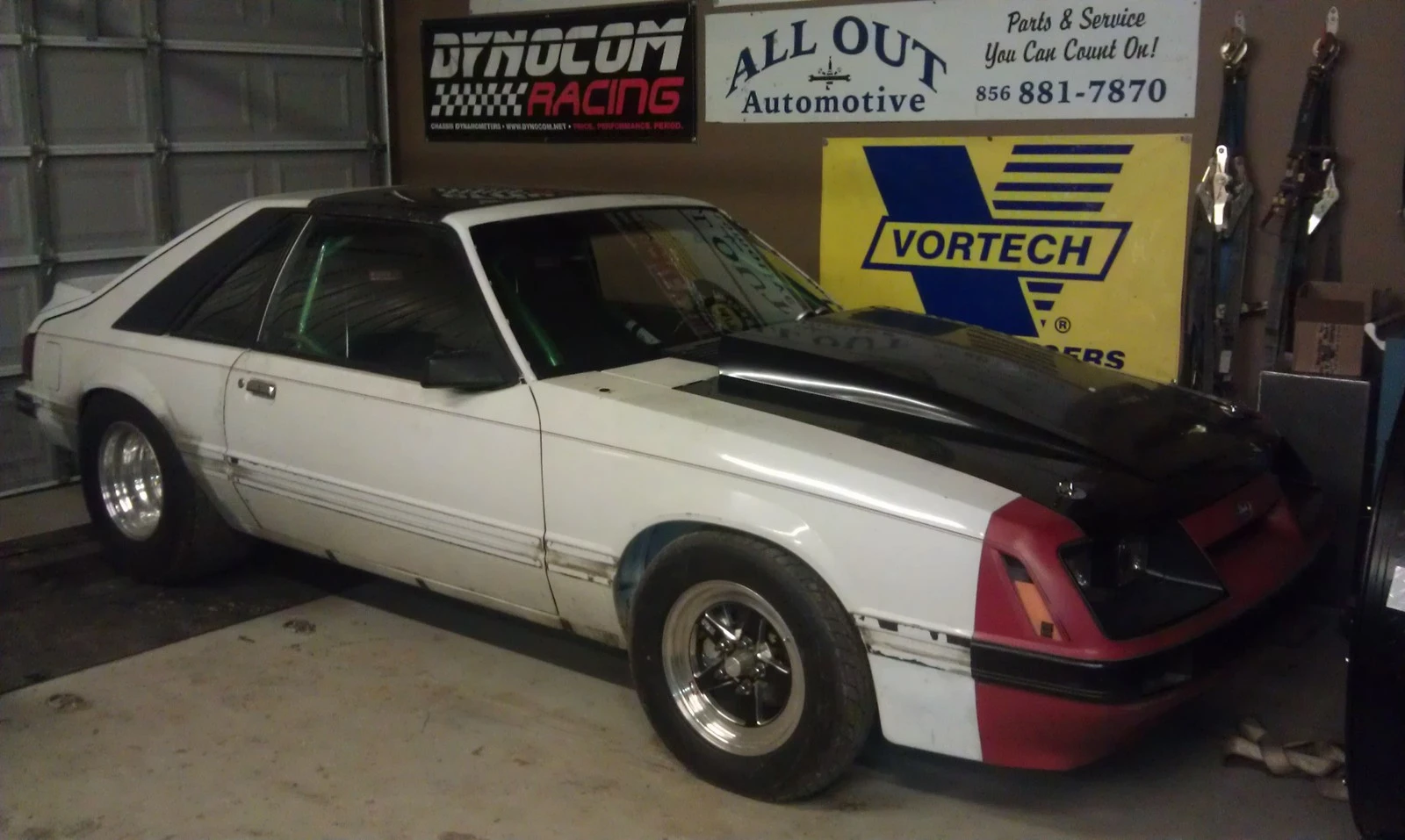 stang shop.webp