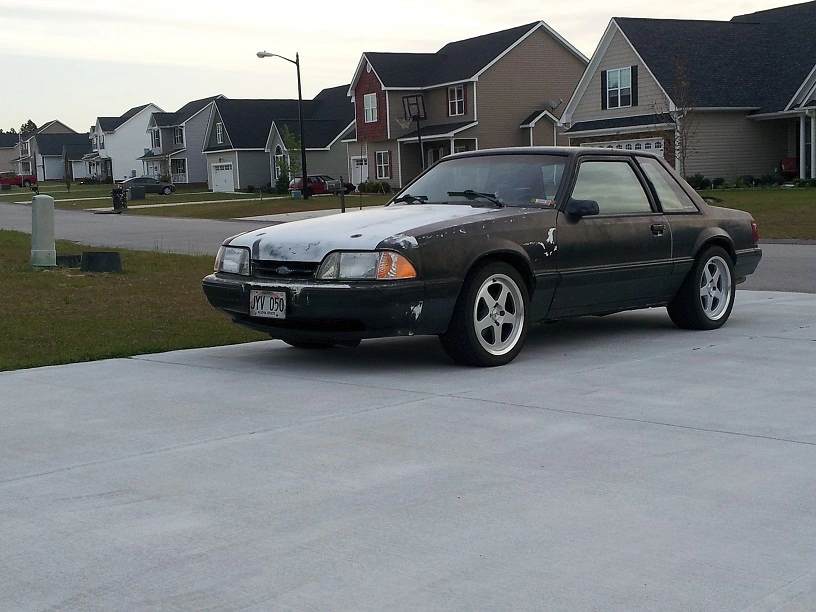 Stang small.webp