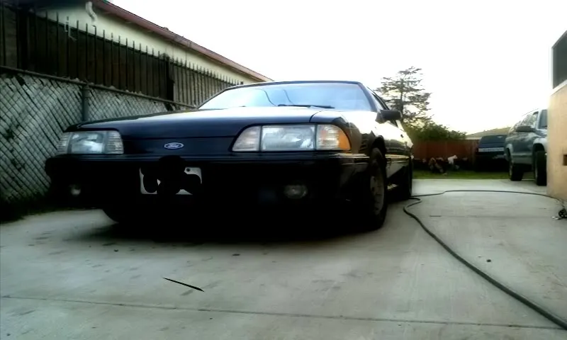 stang.webp