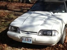 stang.webp