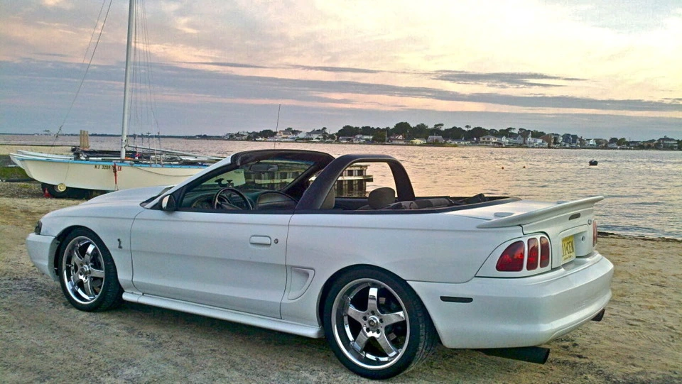 stang.webp