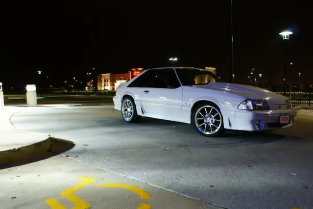 stang.webp