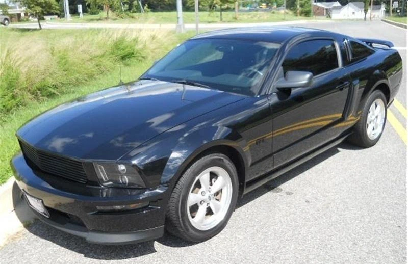 stang.webp