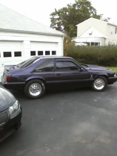 stang.webp
